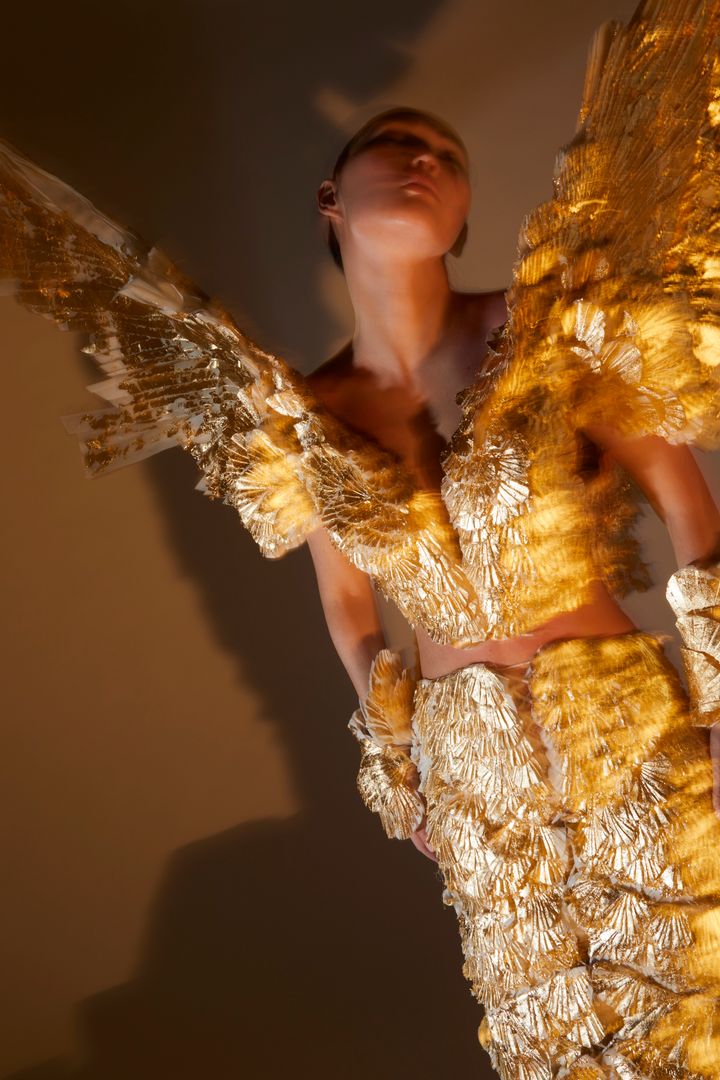 Tiziano Guardini, Colibrì  2