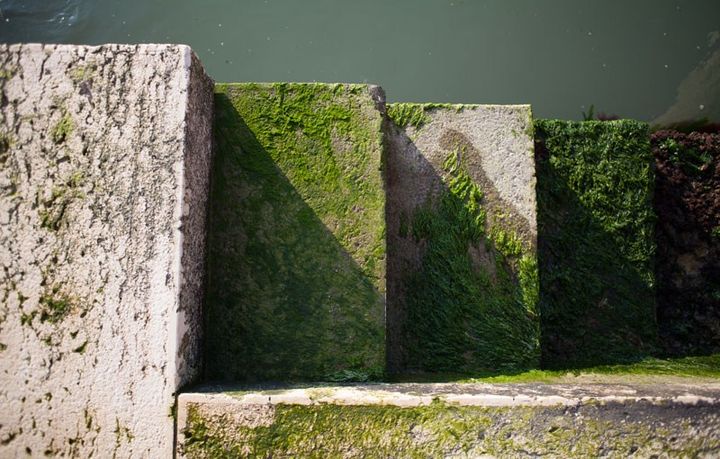 A rug inspired by Venetian canals