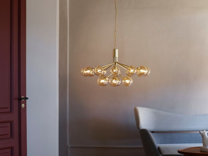 Apiales. Botany as Inspiration