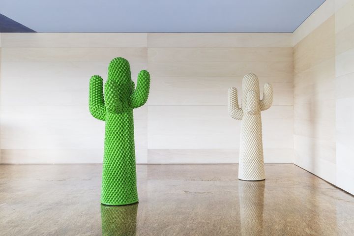 monstera steckling in wasser INTENZ | Stecklinge im Wasser | Monstera | Fensterblatt | Klein