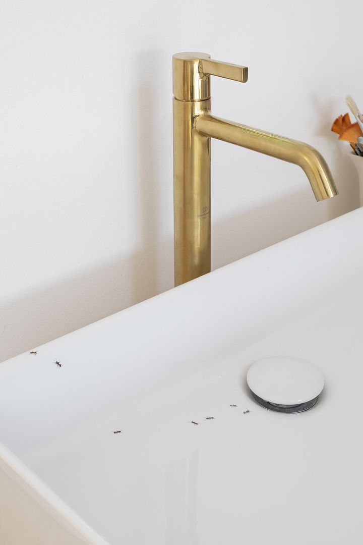 Marcantonio's home-studio - photo Helenio Barbetta 7