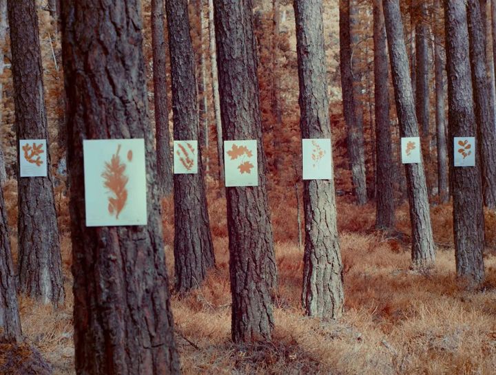 Artek visual essay, video still, Formafanstasma, 2023 - Courtesy of Formafantasma 7
