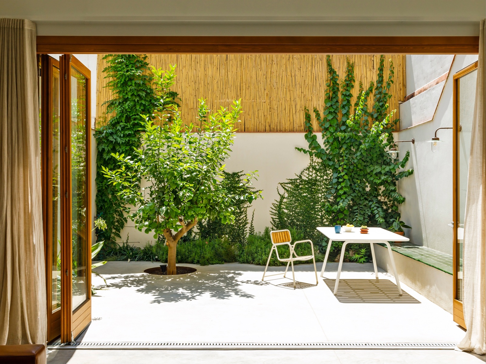 Come creare un giardino sul terrazzo in 6 step: guida con immagini
