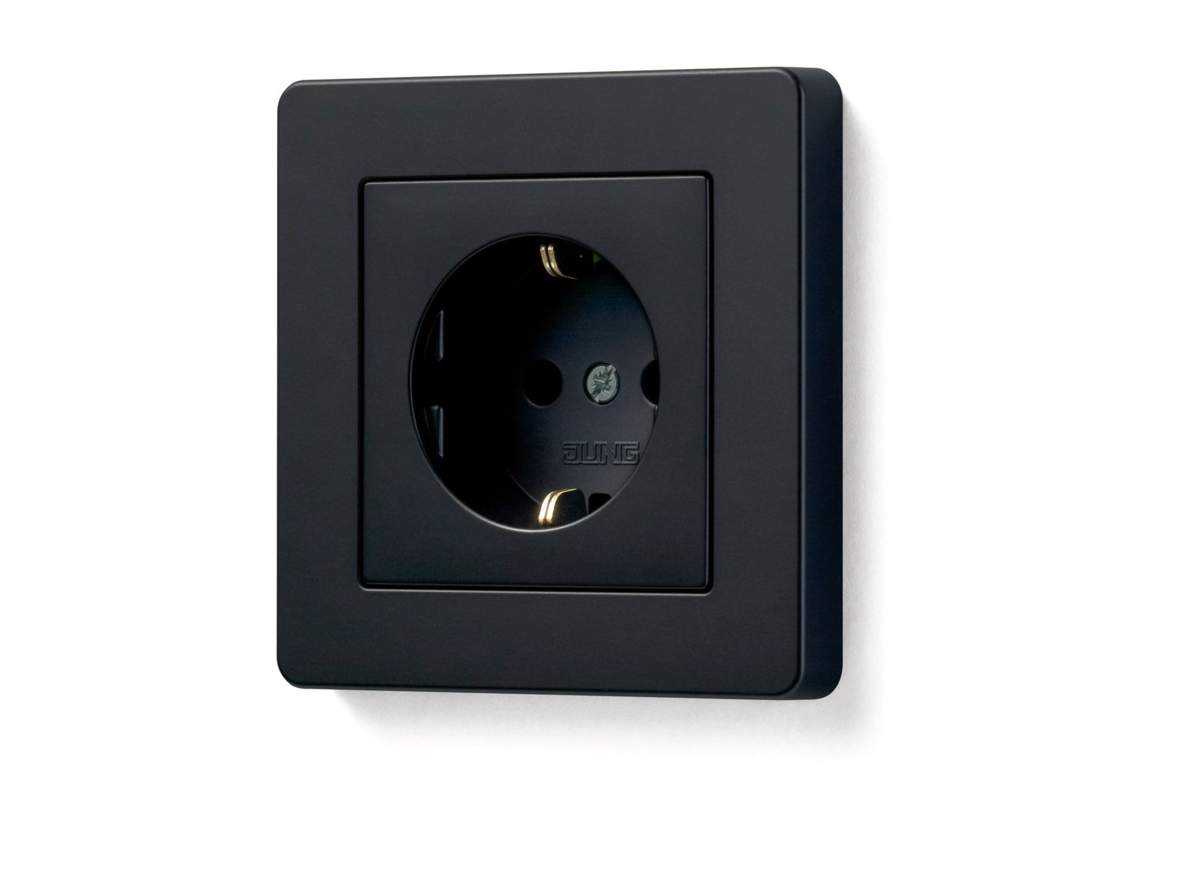 Presa Canario visual data 5