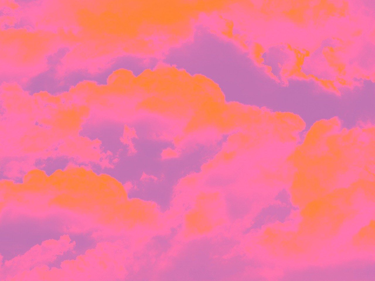 FLUFFY Wallpaper By Murals Wallcoverings