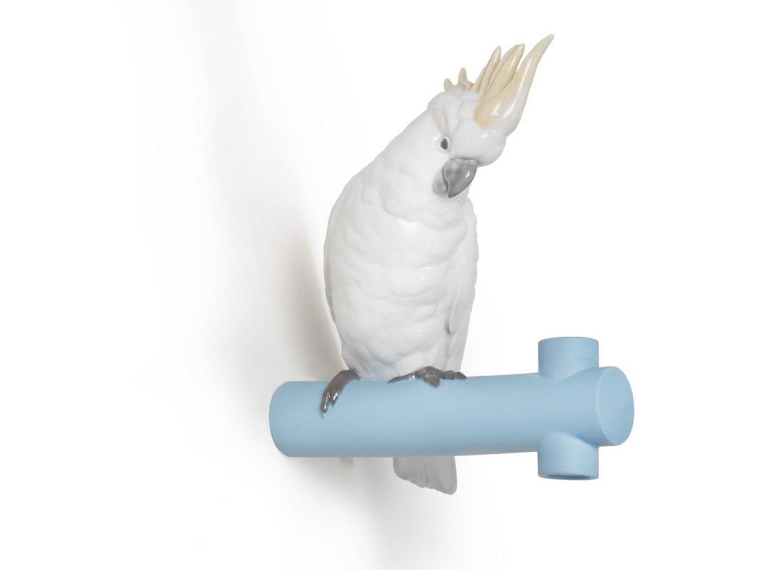 Fresh Look at Parrot Hang I