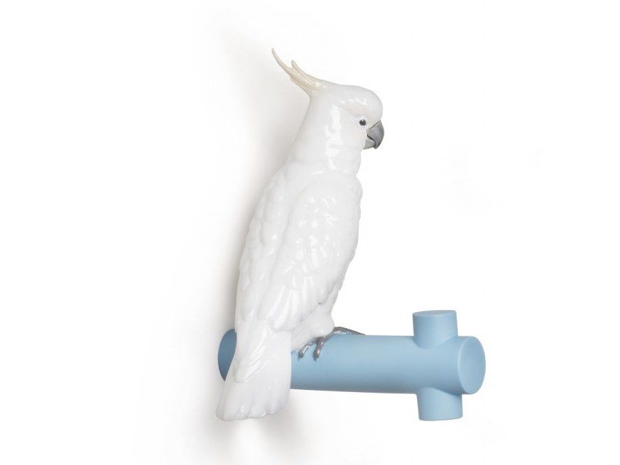 Curated visual reference: Visual Reference: Parrot Hang Ii