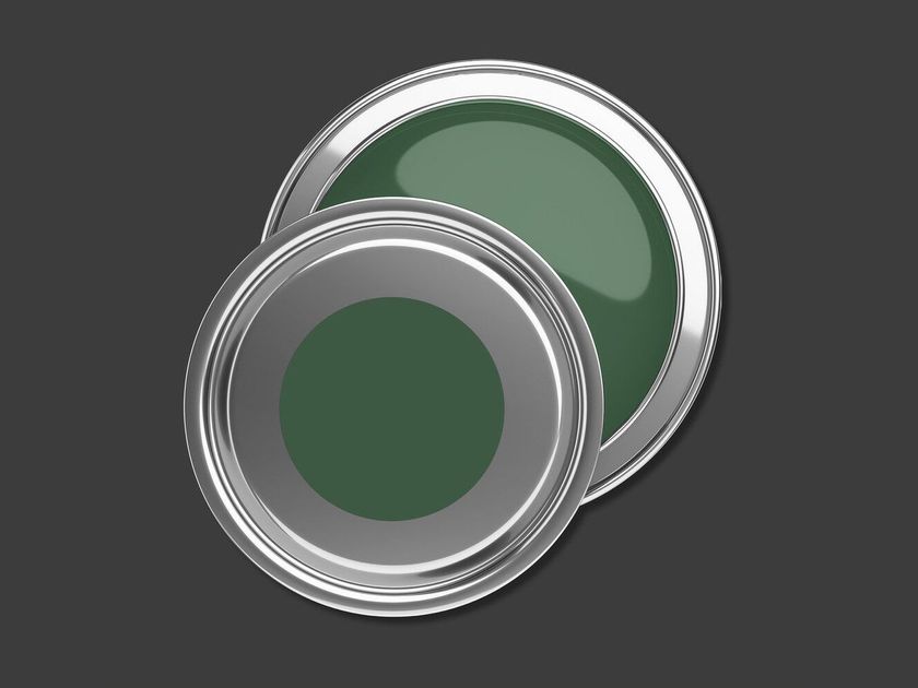 PURO - SAGE GREEN C5005 Decorative paint By Architects Paper