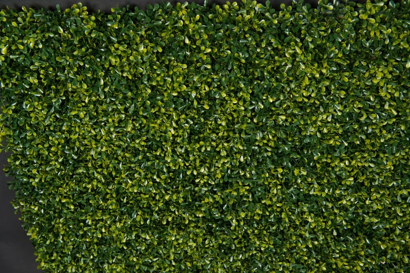 BOSSO FLAT by VGnewtrend - Quadro vegetale - 2