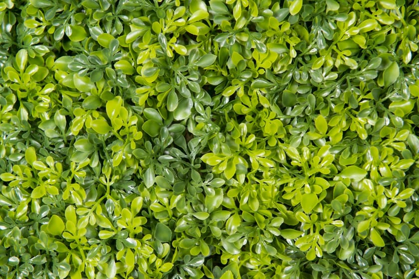 BOSSO MIX by VGnewtrend - Quadro vegetale - 4