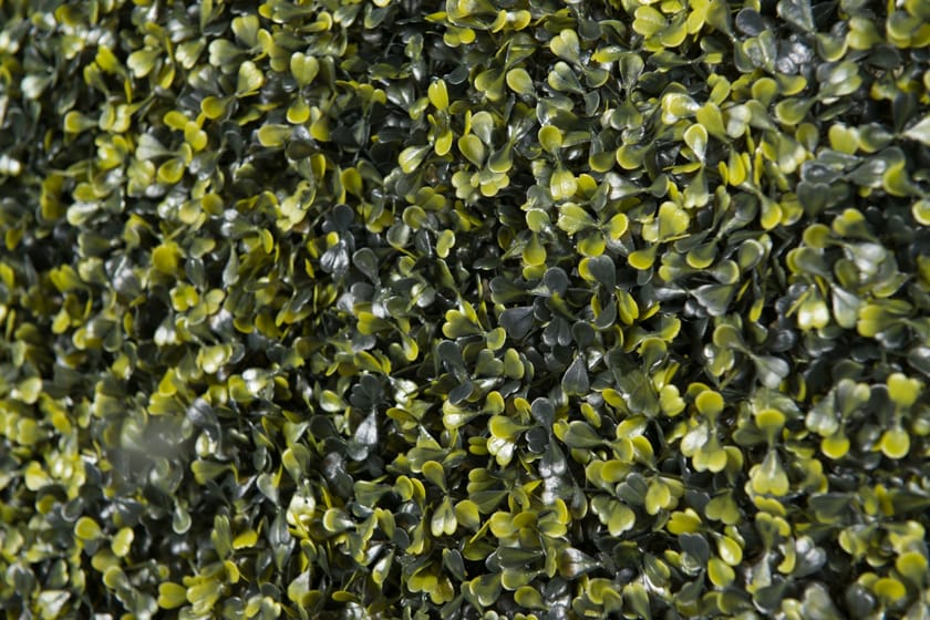 BOSSO by VGnewtrend - Quadro vegetale - 4