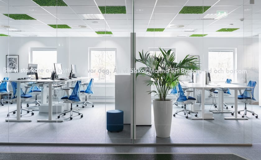 Acoustic Moss ceiling panels CEILING By Nordgröna