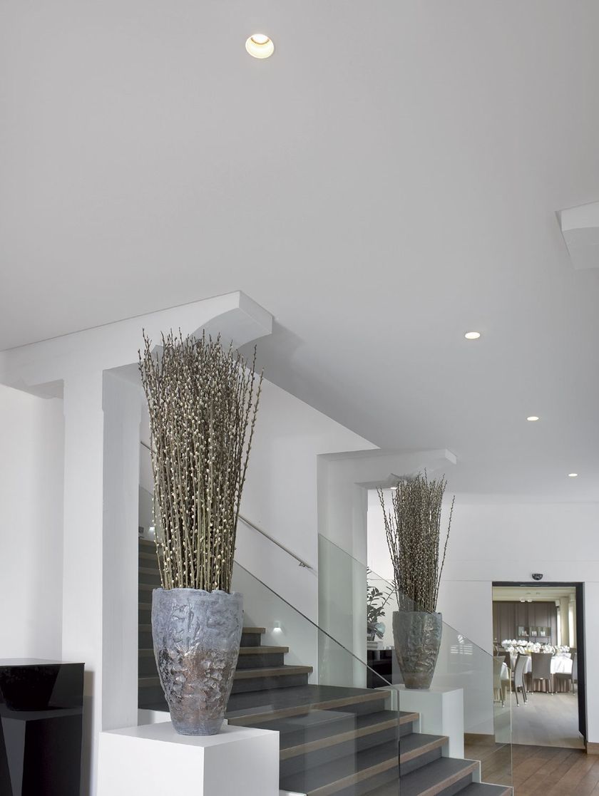 DEEP RINGO Hi IP spotlight By Delta Light