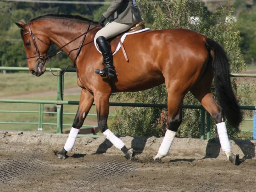 EASY RIDE by Daliform Group - Grigliato calpestabile in plastica - 8