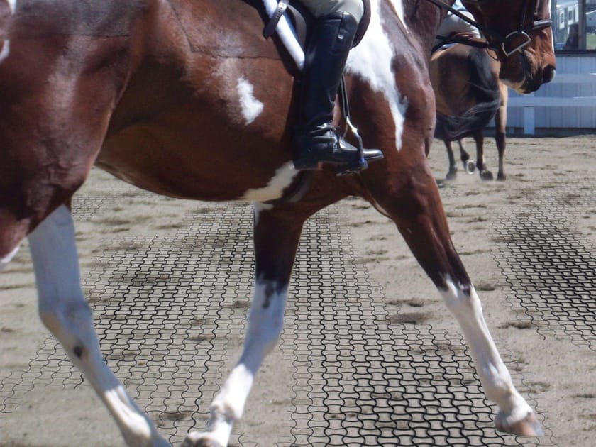 EASY RIDE by Daliform Group - Grigliato calpestabile in plastica - 9