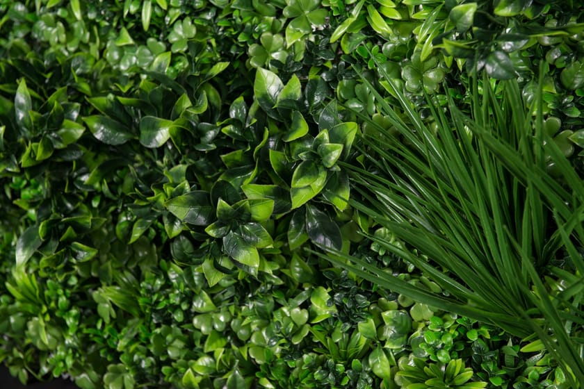 ECUADOR by VGnewtrend - Quadro vegetale - 2