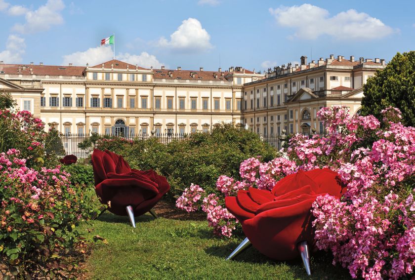 Poltroncina ROSE CHAIR Edra Edilportale