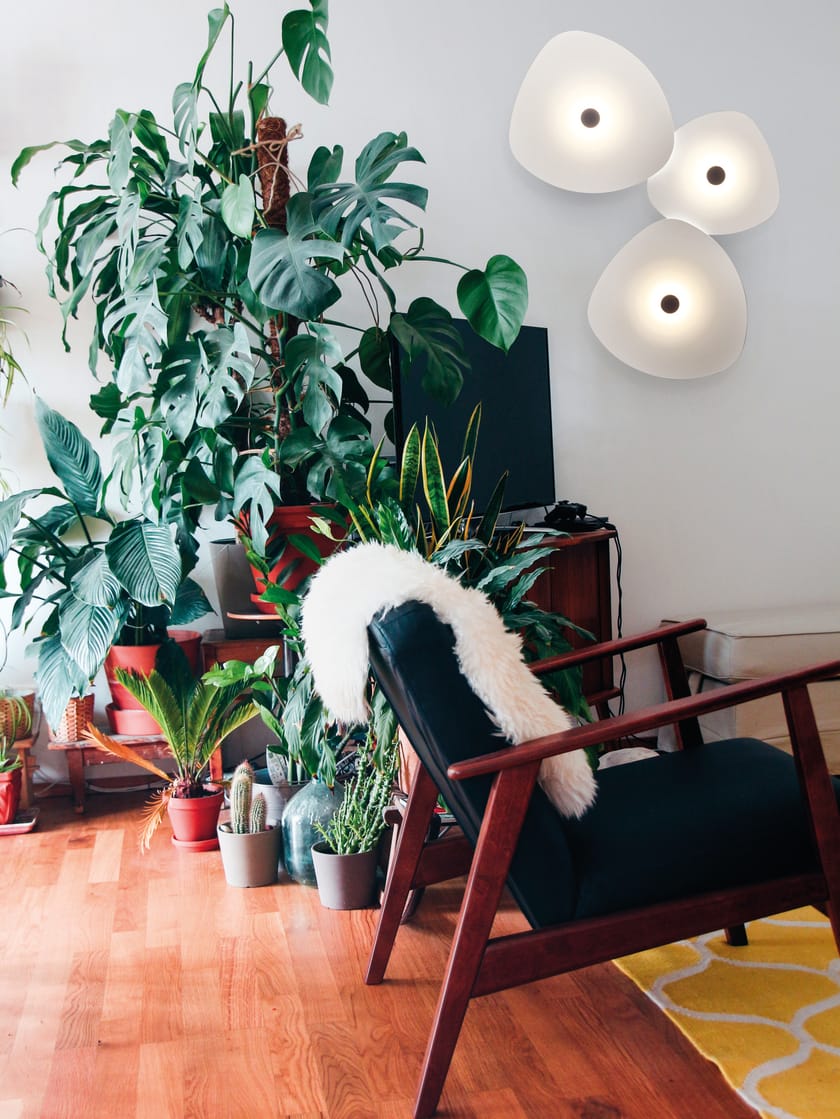 FLOWER Wall lamp By EGOLUCE design Serge Cornelissen