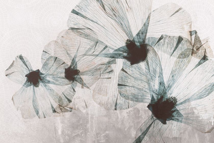 JULIA Wallpaper By Instabilelab