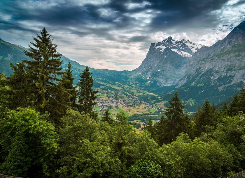 MOUNTAIN VIEWS Wallpaper By Architects Paper