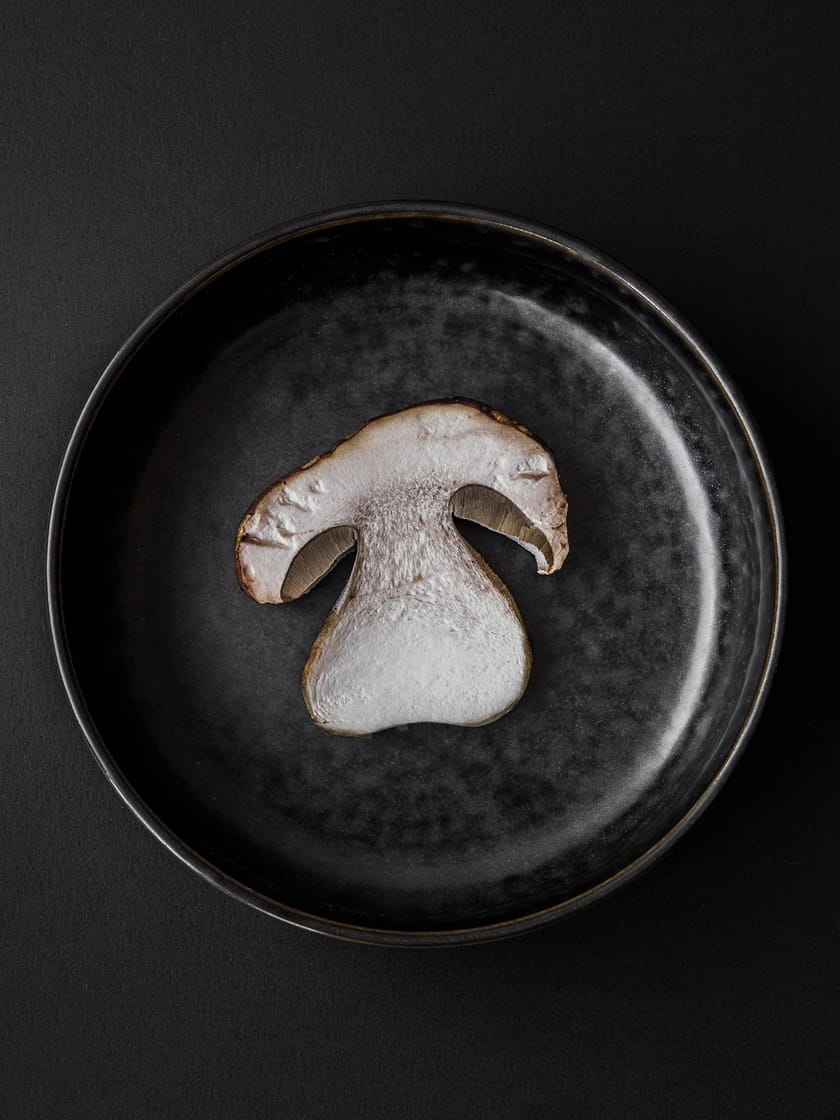 NEW NORM DINNERWARE LOW BOWL Porcelain serving bowl By MENU design