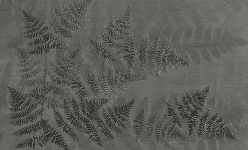 NATURE / SHADOW FERN 壁纸 By N.O.W. Edizioni