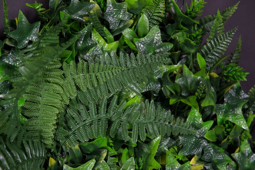 RIO by VGnewtrend - Quadro vegetale - 5