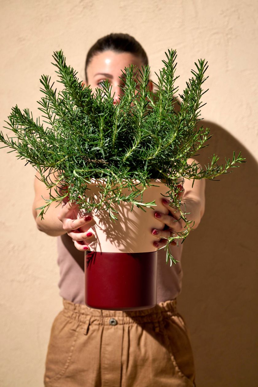 Il giardino: luogo ideale per esperimenti di ecosostenibilità