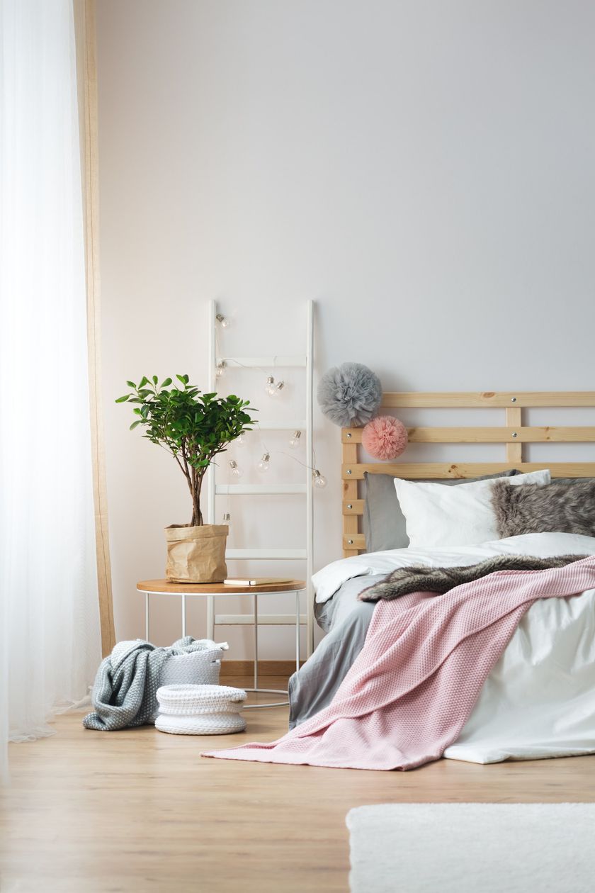 SILDOMUS SANA by San Marco - Idropittura ai silicati - 3