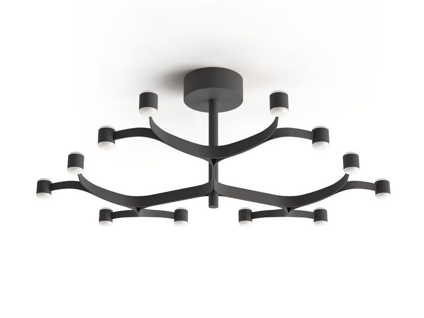 FRONDA 12 BRACHES