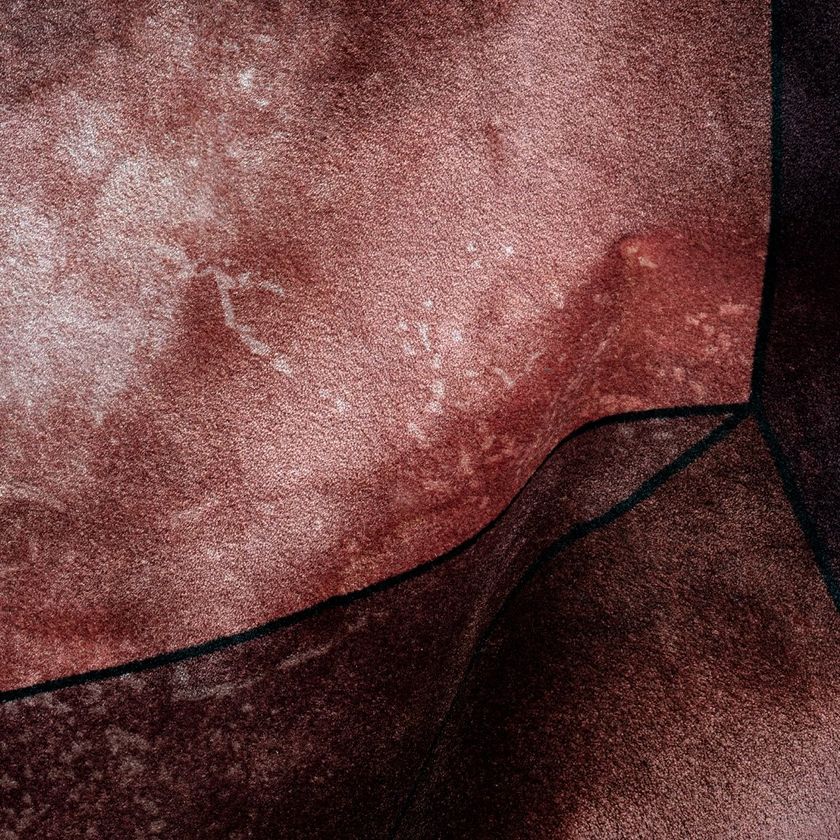 THE FIRST WOMAN ON MARS rug By INK.RUGS
