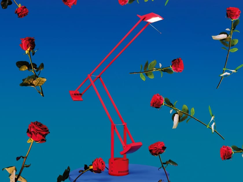 TIZIO 50th Anniversary Edition