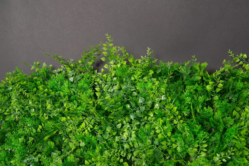 TUNDRA by VGnewtrend - Quadro vegetale - 3