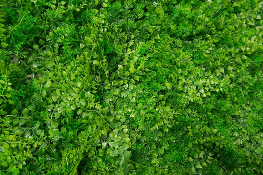 TUNDRA by VGnewtrend - Quadro vegetale - 4