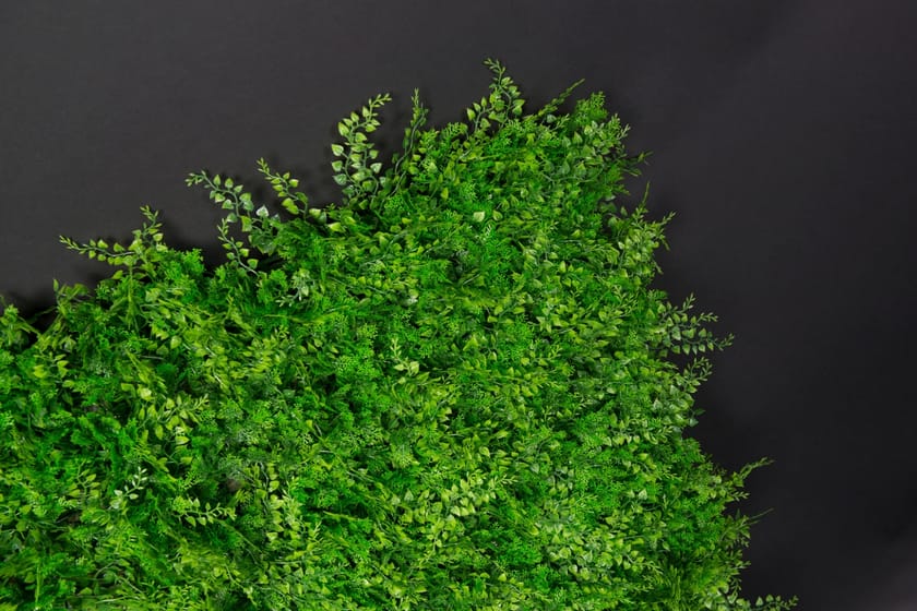 TUNDRA by VGnewtrend - Quadro vegetale - 2