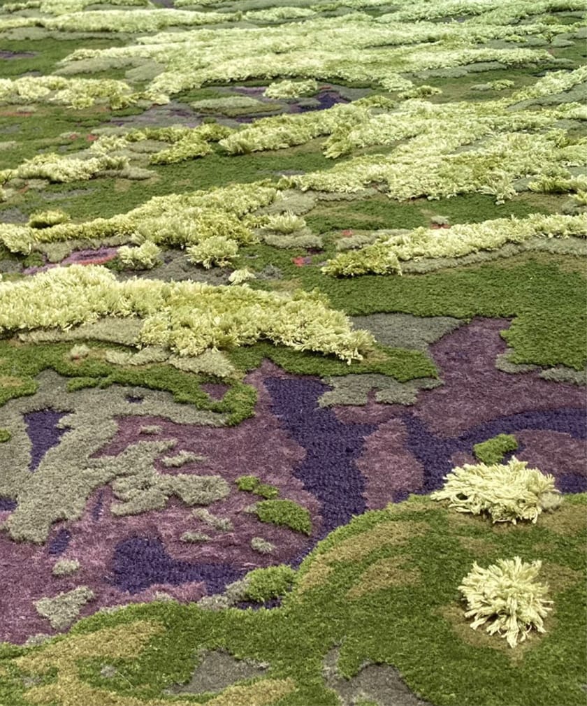 MYSTERIOUS MOSS by Tapis Rouge - Tappeto rettangolare taftato a mano - 4
