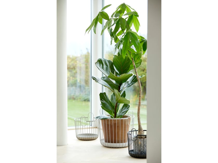 Set Bulloni Reinz - Testa Cilindrica Torx, M10 X 148 Mm | Per Motori A16LET, A16XER, C16XE