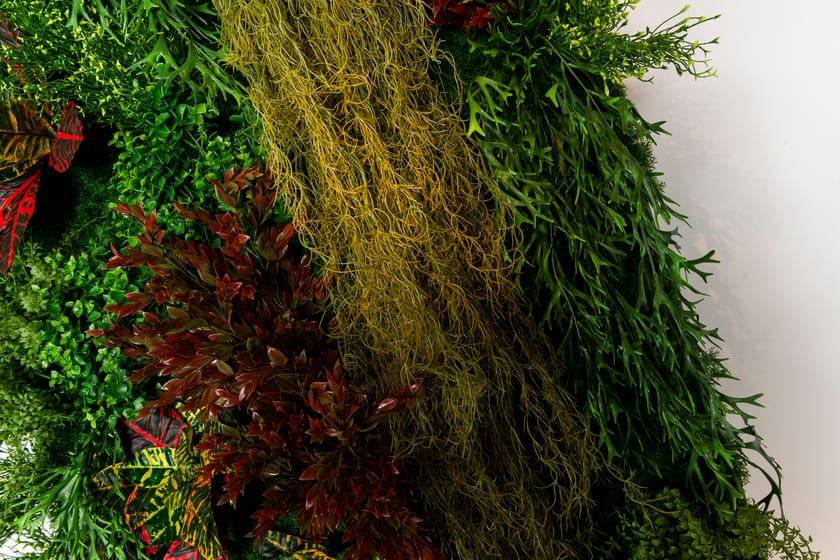 CADDO by VGnewtrend - Quadro vegetale - 10