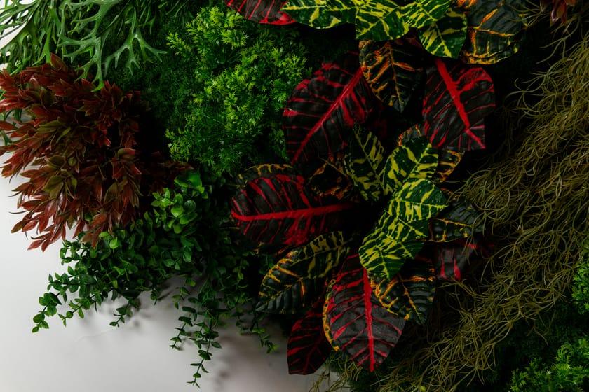 CADDO by VGnewtrend - Quadro vegetale - 4