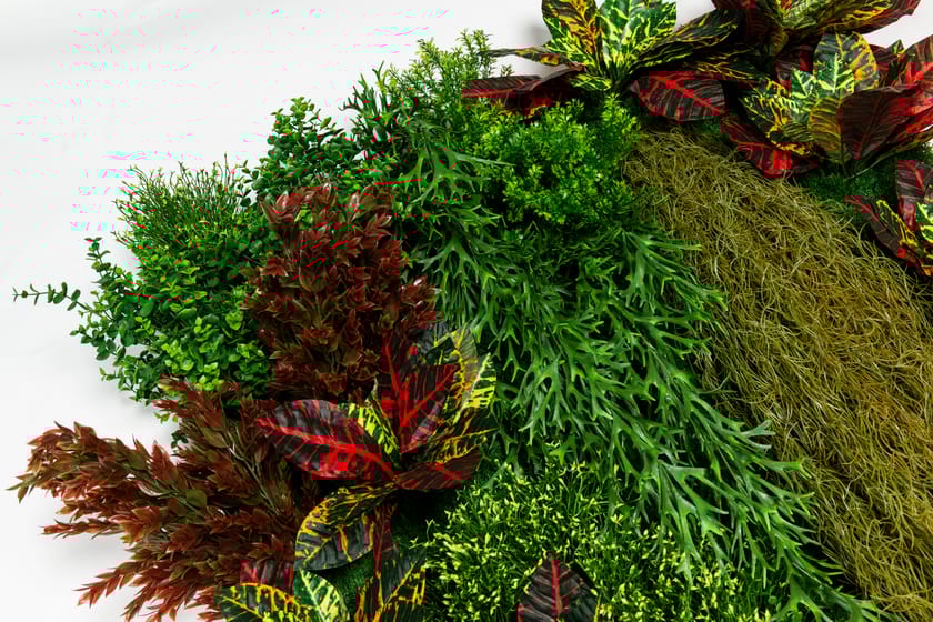 CADDO by VGnewtrend - Quadro vegetale - 8