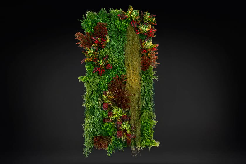 CADDO by VGnewtrend - Quadro vegetale - 2