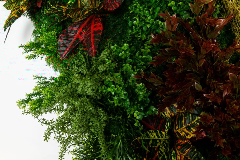 CADDO by VGnewtrend - Quadro vegetale - 6