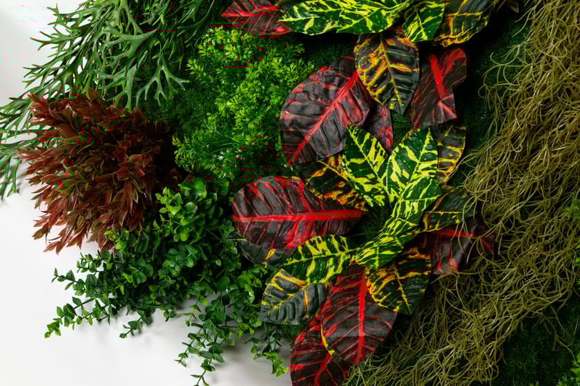 CADDO by VGnewtrend - Quadro vegetale - 5