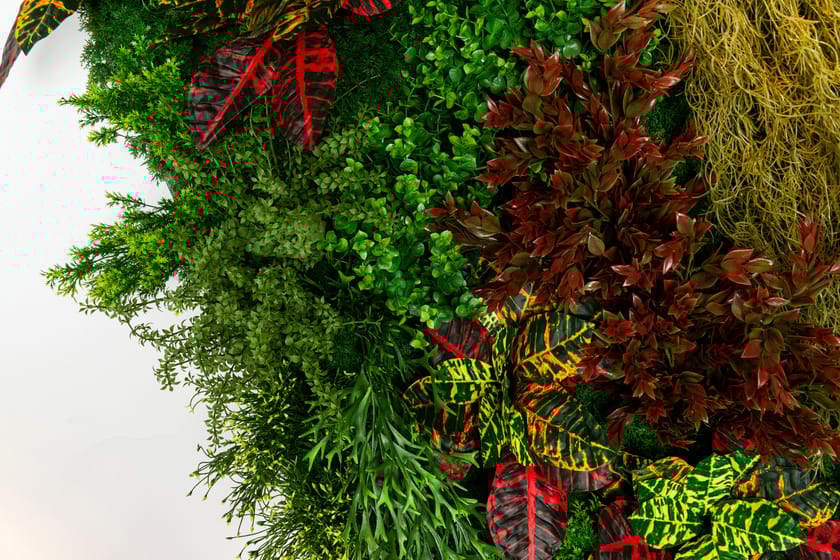 CADDO by VGnewtrend - Quadro vegetale - 7