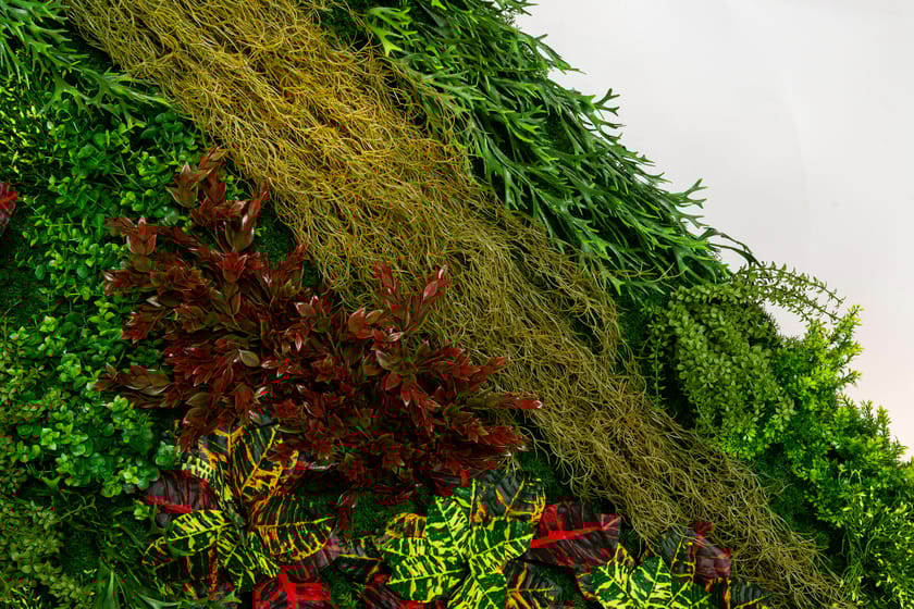 CADDO by VGnewtrend - Quadro vegetale - 11