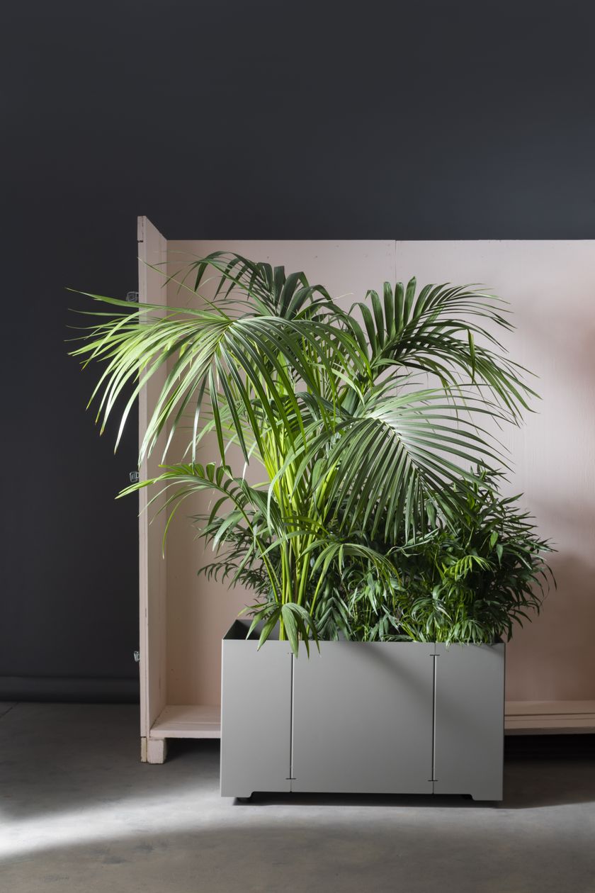Fioriera Rettangolare In Acciaio Zincato GZGNEEVL - 80x40x40 Cm, Colore Nero, Per Esterni E Interni Con Fori Di Drenaggio