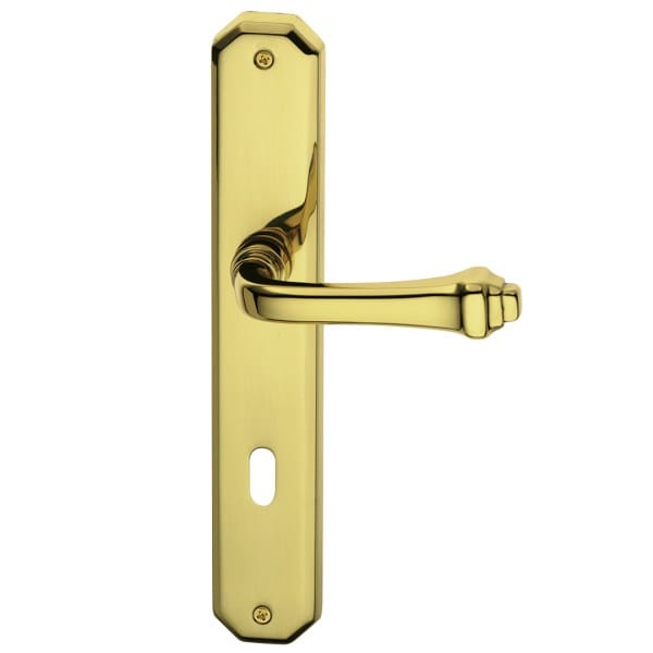 CREOLA CLASSIQUE Door handle on back plate Brass door handle on back