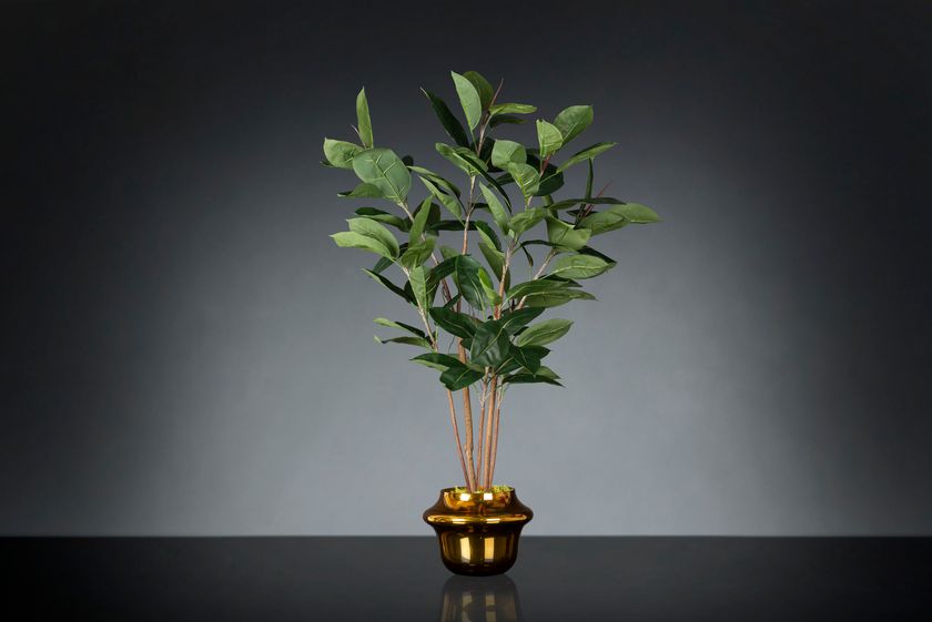 GOLD ATOLLO FICUS Vase / Kunstpflanze By VGnewtrend