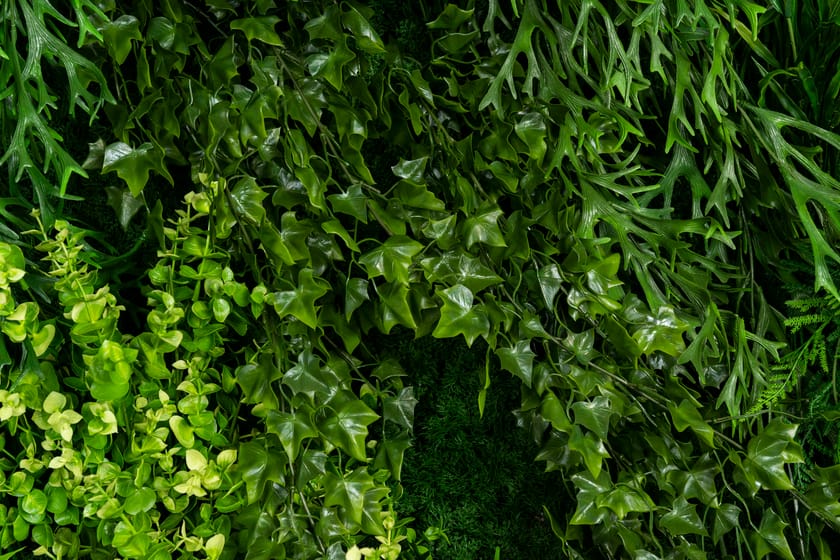 MELEDA by VGnewtrend - Quadro vegetale - 9