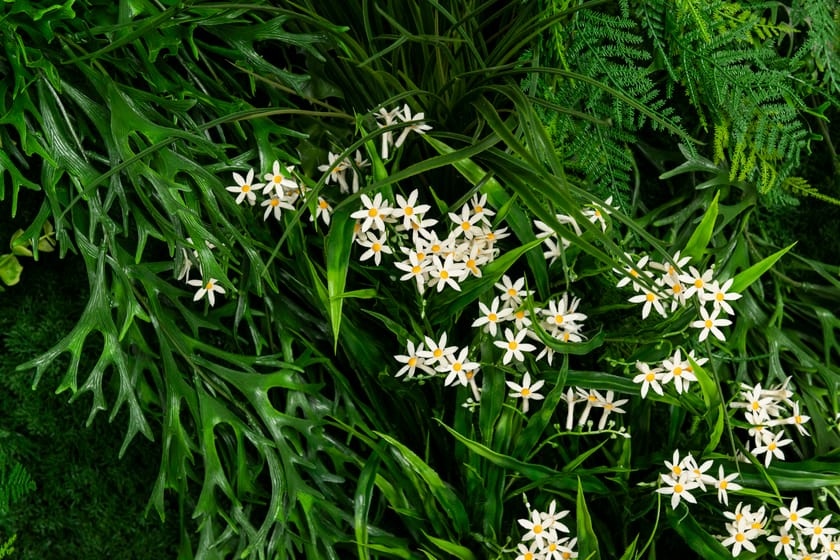 MELEDA by VGnewtrend - Quadro vegetale - 3